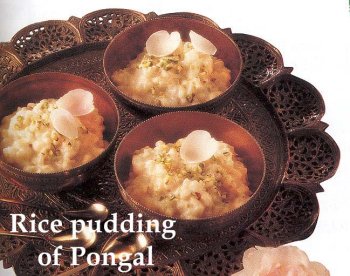 Rice pudding of Pongal