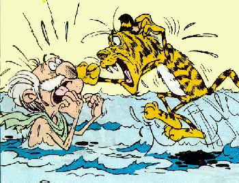 Tiger attacking the old man stuck in the muddy waters