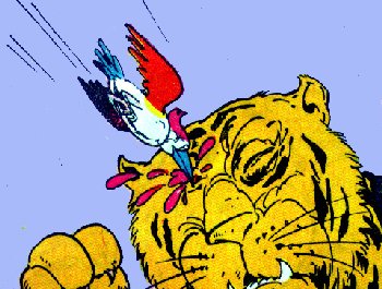 Woodpecker teaching a lesson to the Tiger